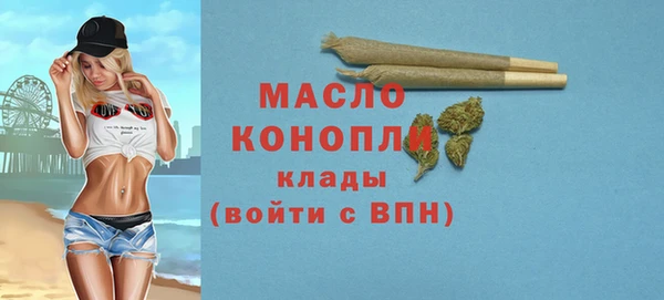 мет Каменка