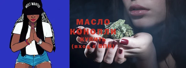 мет Каменка