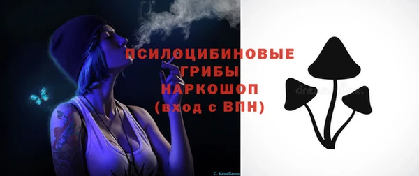 тгк Каменск-Шахтинский