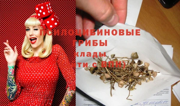 ALPHA PVP Каменногорск