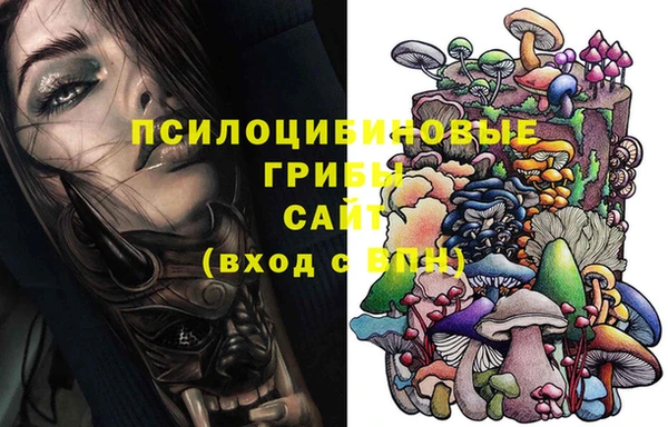 мет Каменка