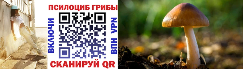 Псилоцибиновые грибы мицелий  Купить закладки  Новоуральск 
